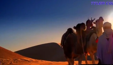 Kassim Fécondé En Plein Ramadan