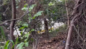 I was in F1 and I met Ronny Aislan on the trail and ate him - Watch in full