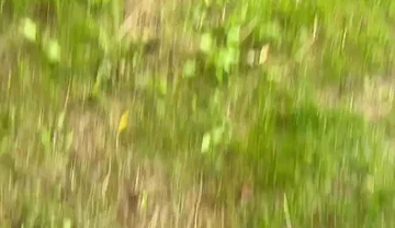 Cheating wife into the woods, he have my load inside him